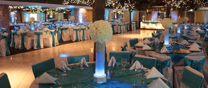 millenium decorations and catering chicago