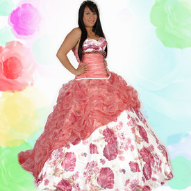 scelebrations quinceanera dresses