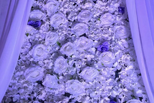 Cano Events and Design Chicago