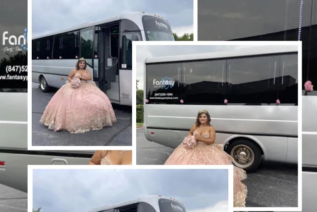 fantasy party bus chicago
