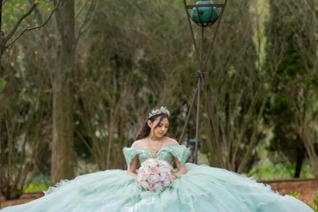 my quince world quinceanera dresses