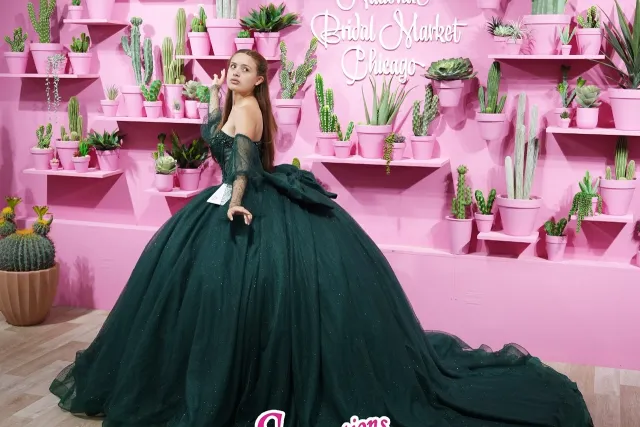 scelebrations xv dresses