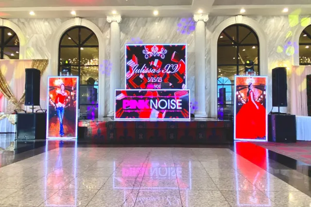 the pink noise djs chicago