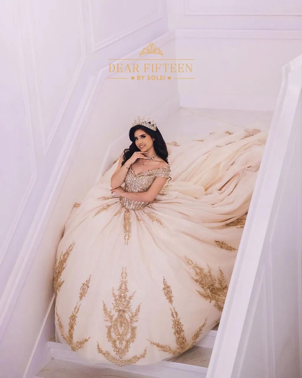 dear fifteen by solei quinceanera dresses chicago