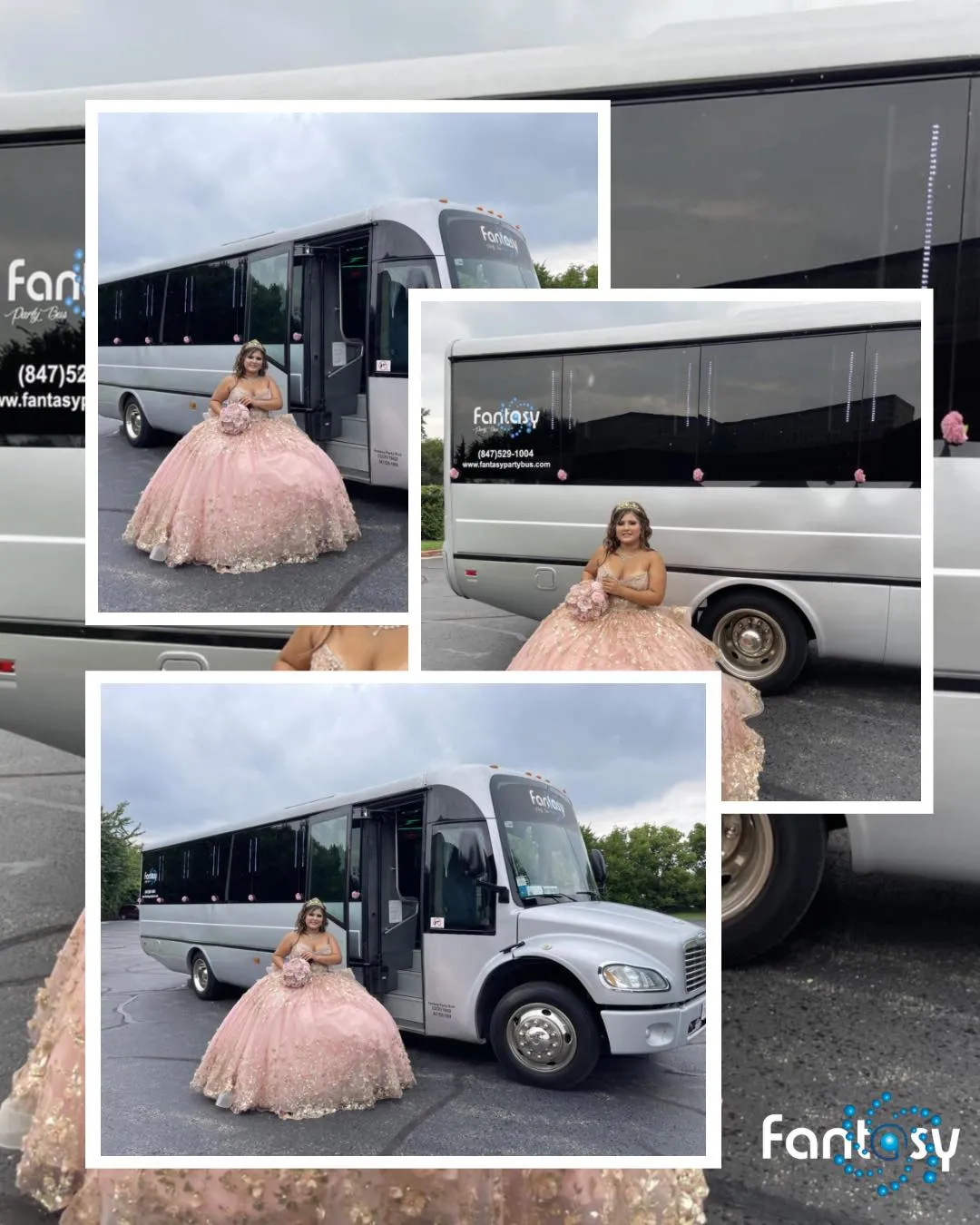 fantasy party bus chicago